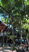 ann.shellll Altpins Profile Picture