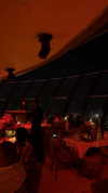 lielmazor_ Altpins Profile Picture