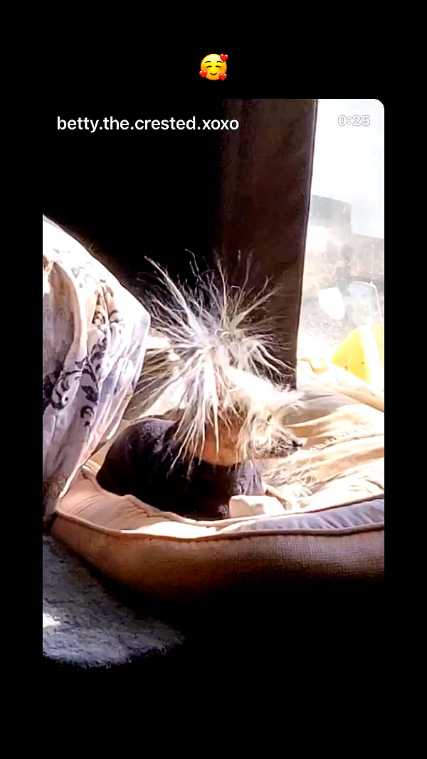 jenniferaniston archive video preview