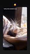 jenniferaniston Altpins Profile Picture