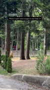 jariya_k_luban Altpins Profile Picture