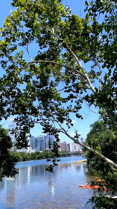 thelizzyporter thelizzyporter archive video