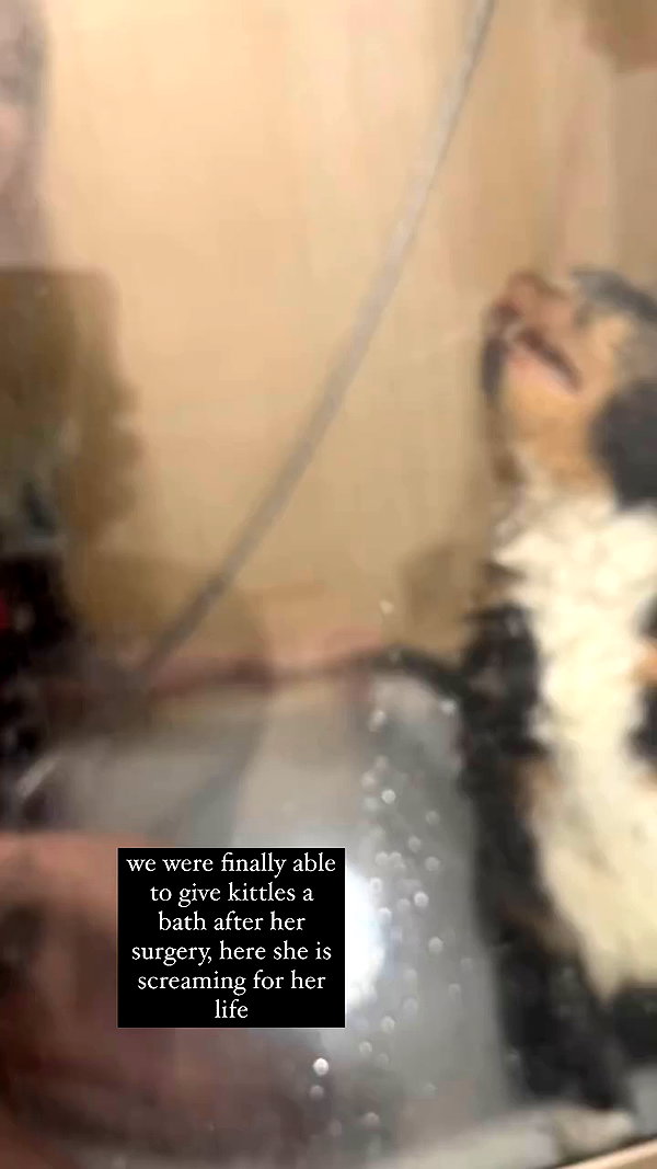 kirrakaye archive video preview