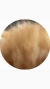 vasian_life Altpins Profile Picture