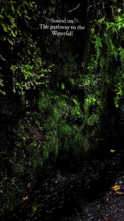 taylor.creeden taylor.creeden archive video