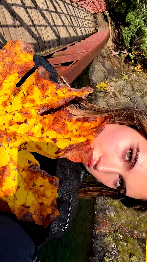 taylor.creeden archive video preview