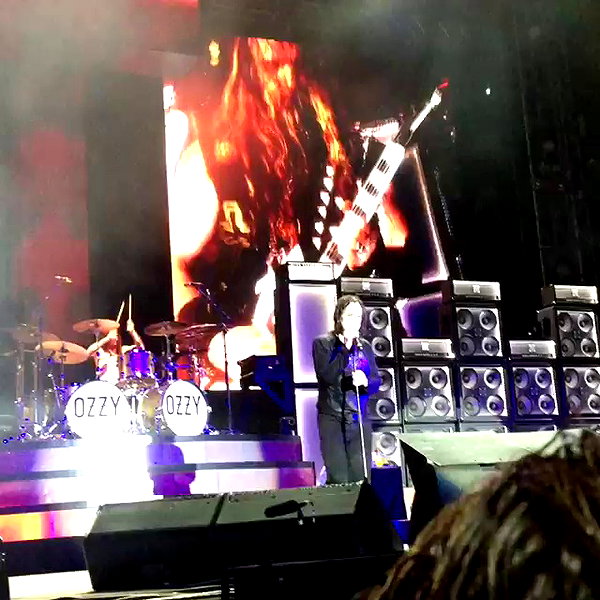 karin_orhov archive video preview