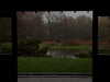 forestowwwl Altpins Profile Picture
