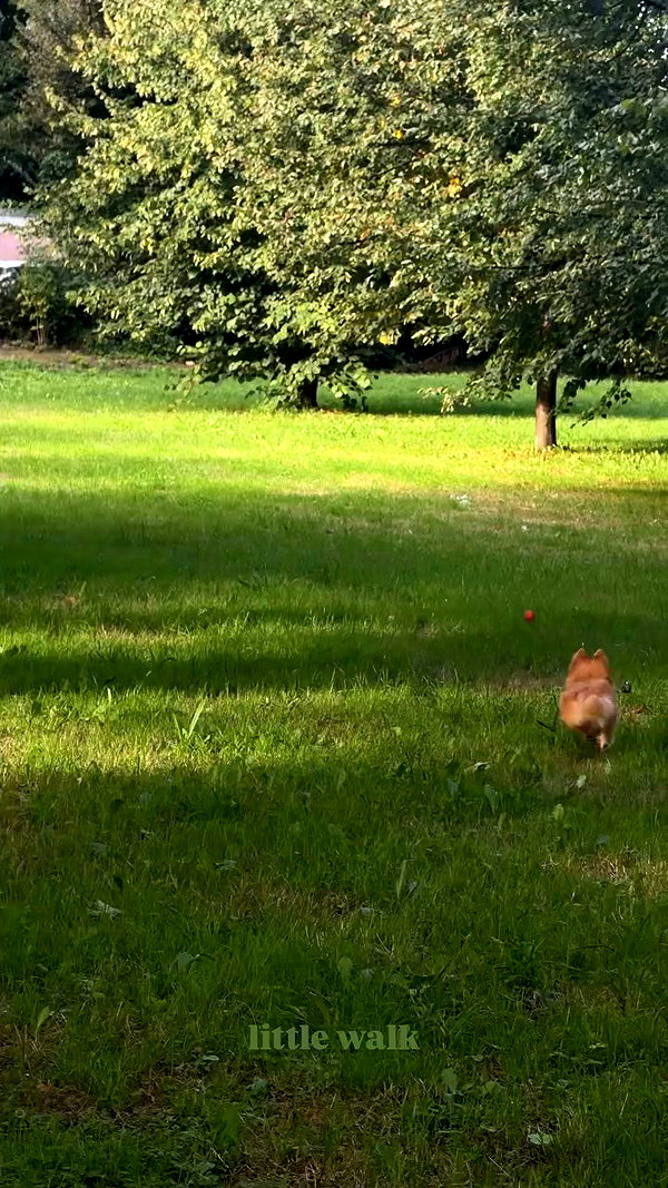nina.kxs archive video preview