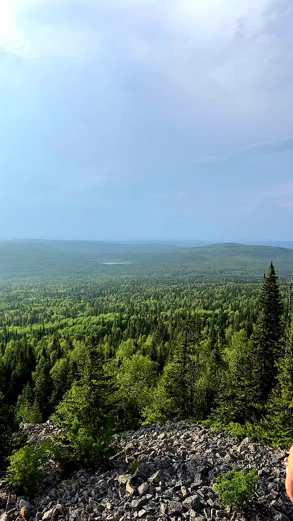 swfx_real archive video preview