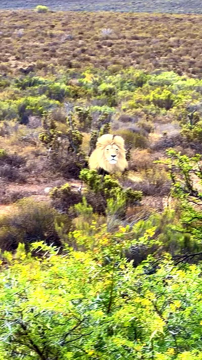 taylor.creeden taylor.creeden archive video