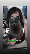 chibinekopurr Altpins Profile Picture