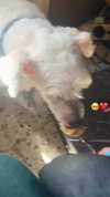 feelbetterinmysweater Altpins Profile Picture
