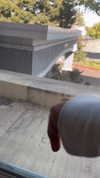nicoleviado Altpins Profile Picture
