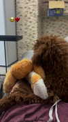 agam._.harel Altpins Profile Picture