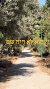 ofri.elul Altpins Profile Picture