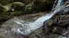 vvelum_ Altpins Profile Picture