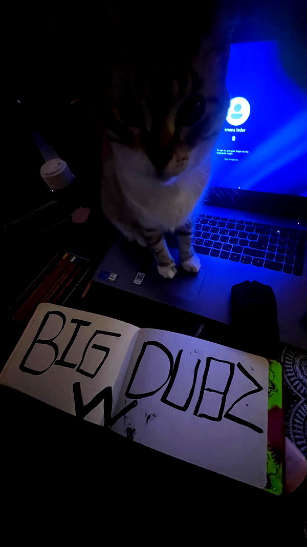 electrixjuggle archive video preview