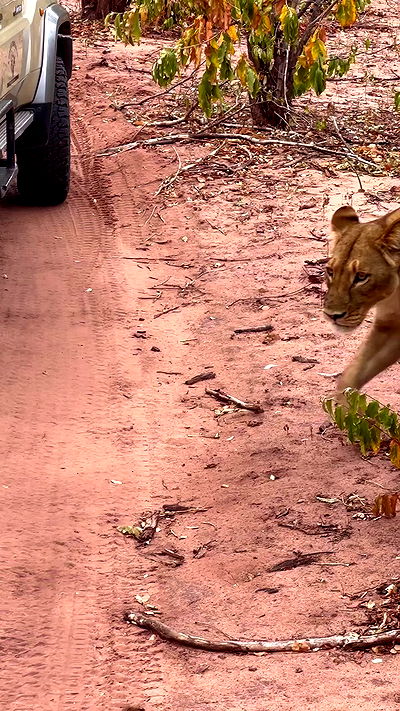 taylor.creeden taylor.creeden archive video