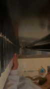 libby_reut Altpins Profile Picture