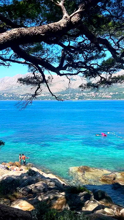 ellamwatts_ ellamwatts_ archive video