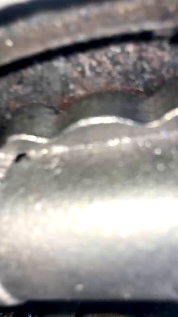 eitan.420 archive video preview