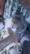 275.cn Altpins Profile Picture