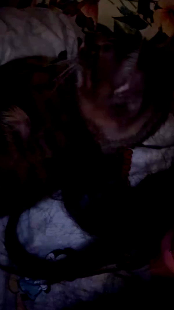 tutiiiiii666 archive video preview