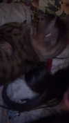 tutiiiiii666 Altpins Profile Picture