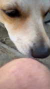 gerrryxtt Altpins Profile Picture