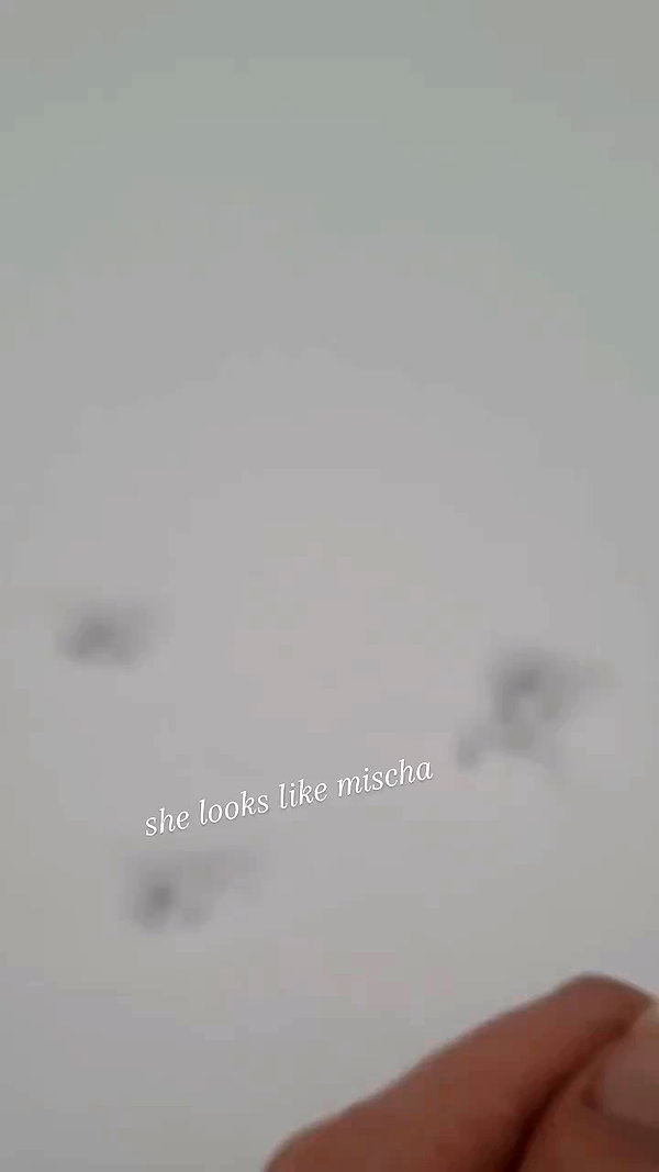 ssarnvd archive video preview