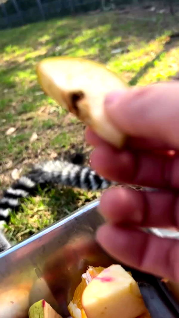 feelbetterinmysweater archive video preview