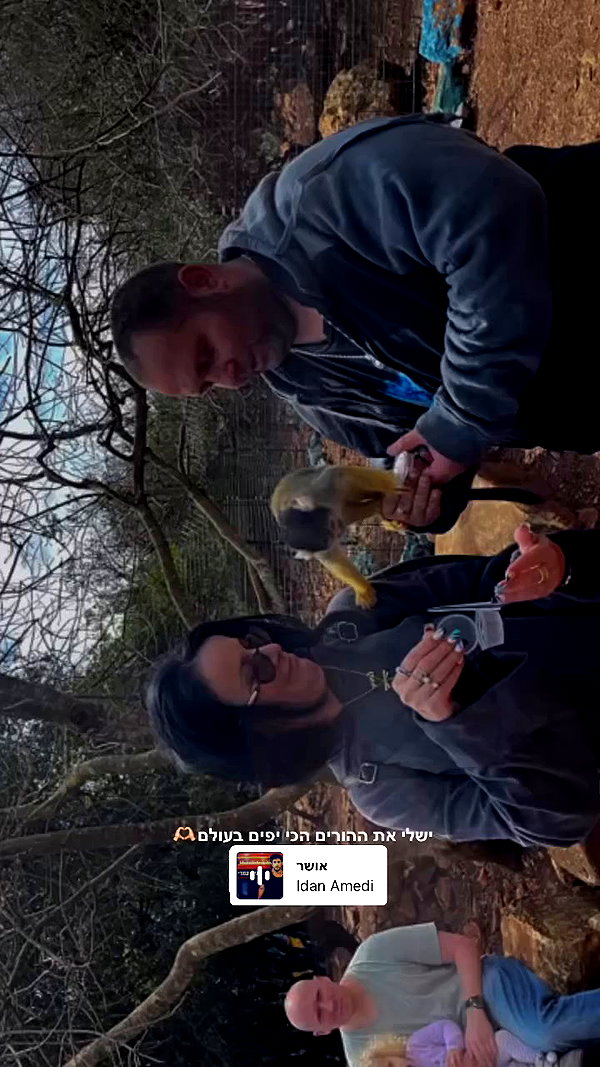 rei.sigalov archive video preview