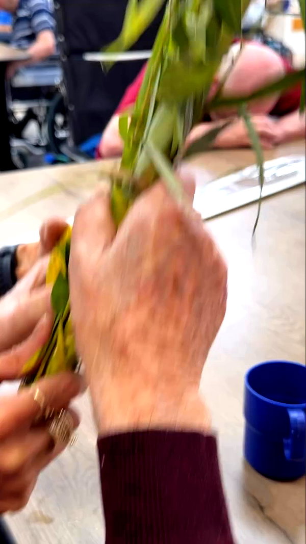efrat_elmalich archive video preview