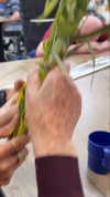 efrat_elmalich Altpins Profile Picture