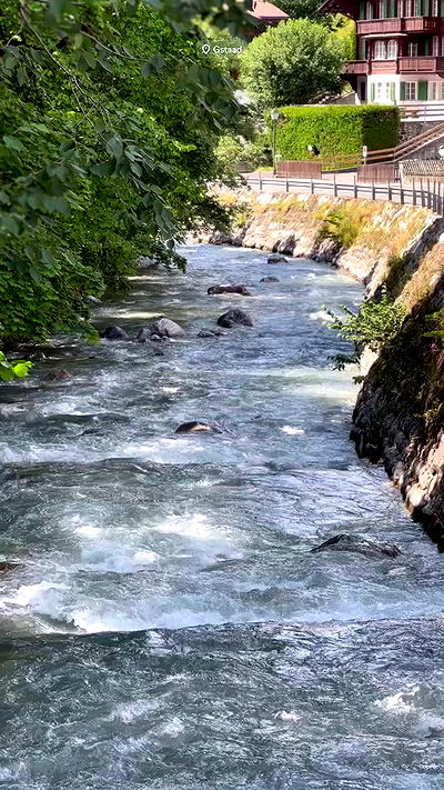 taylor.creeden taylor.creeden archive video