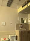 moriel_mordoch Altpins Profile Picture