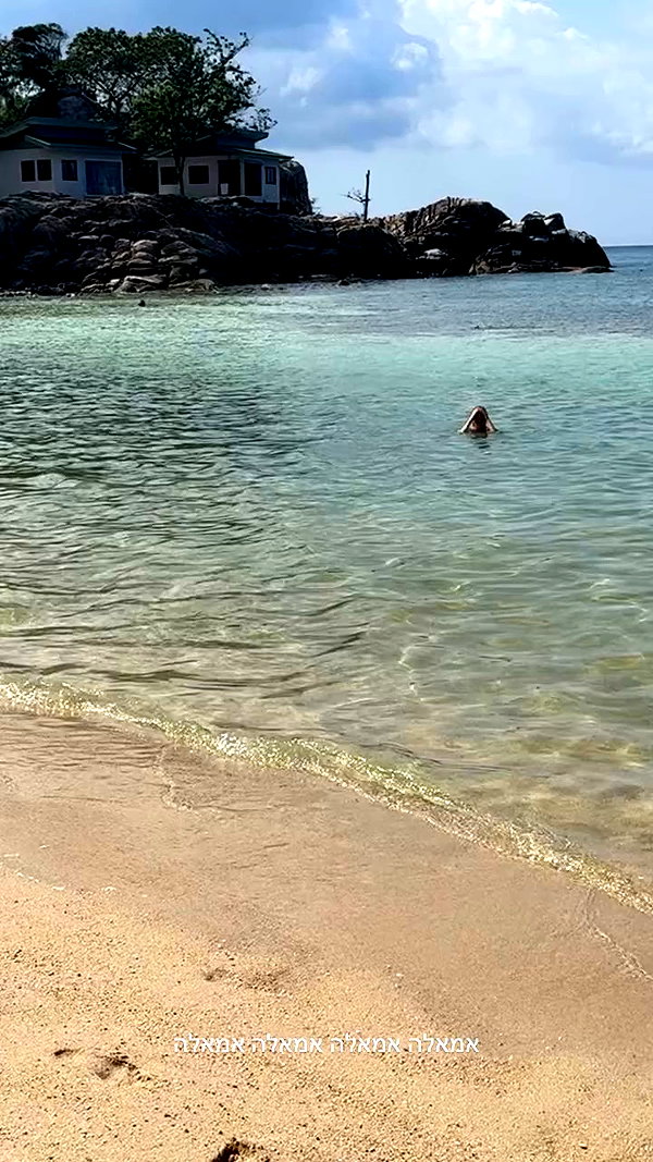michal_cohen017 archive video preview