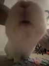 danielle.mercedie Altpins Profile Picture