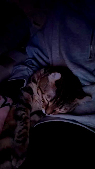 laurinchhhe laurinchhhe archive video