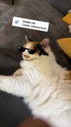 eitan.420 Altpins Profile Picture