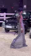 fair_mua Altpins Profile Picture