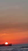 _lironatias Altpins Profile Picture