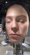 dwpolin Altpins Profile Picture