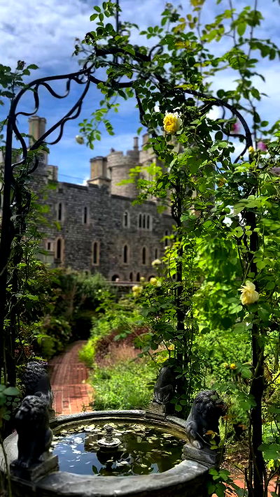 taylor.creeden taylor.creeden archive video