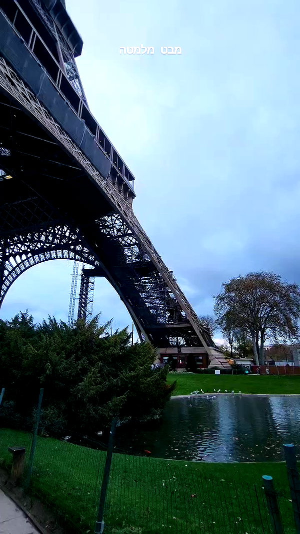 barzomer archive video preview
