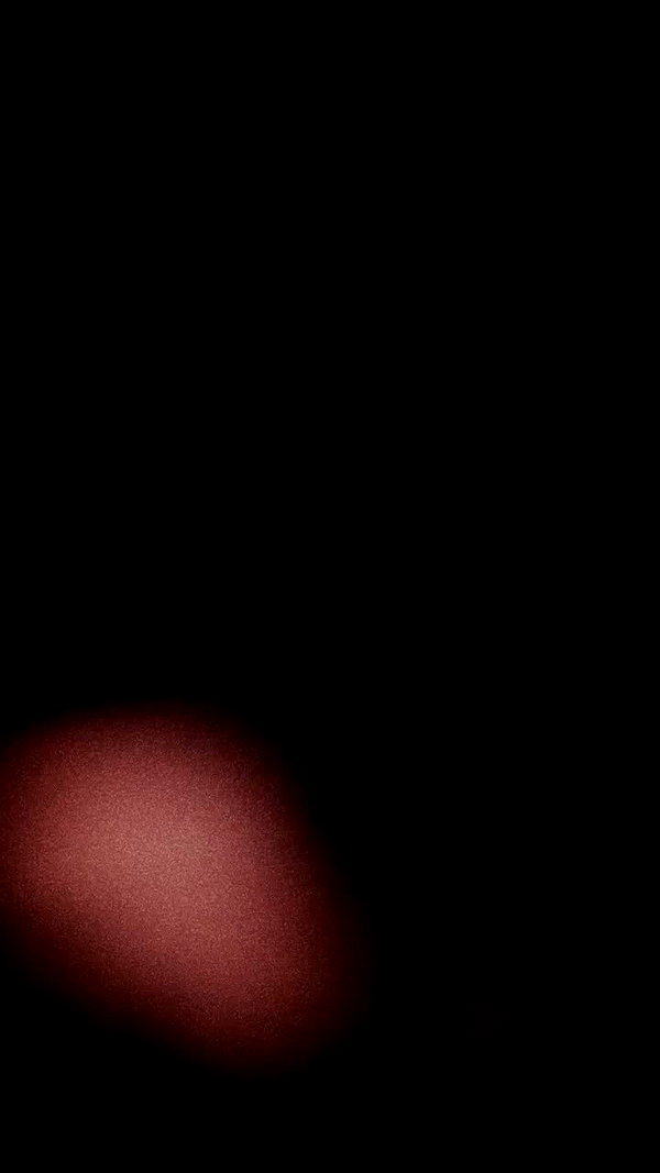 majestic_collective archive video preview