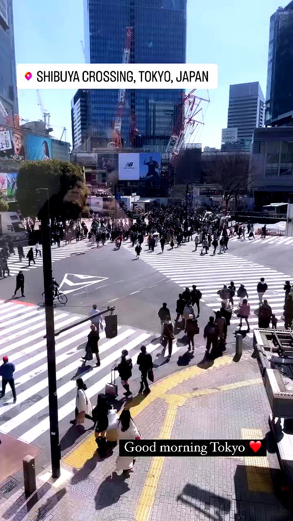 silkton archive video preview