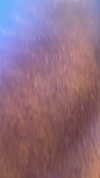zaini.wiss Altpins Profile Picture