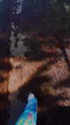 pia__kim Altpins Profile Picture